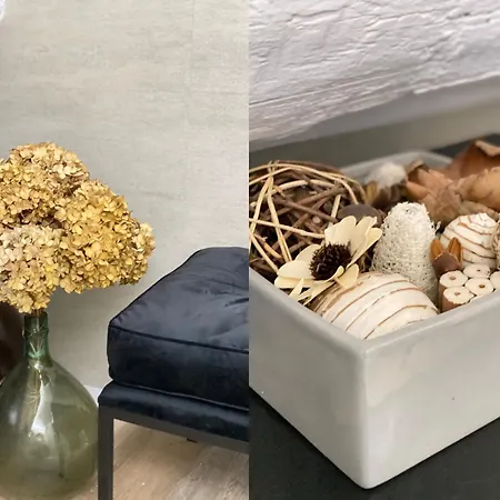 Bed and Breakfast Domaine Valenquercy